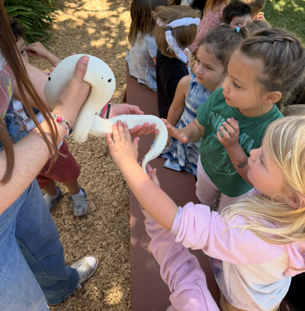 little hands petting a snake